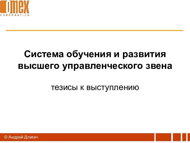 © Андрей ДлигачСистема обучения и развития высшего управленческого звенатезисы к выступлению