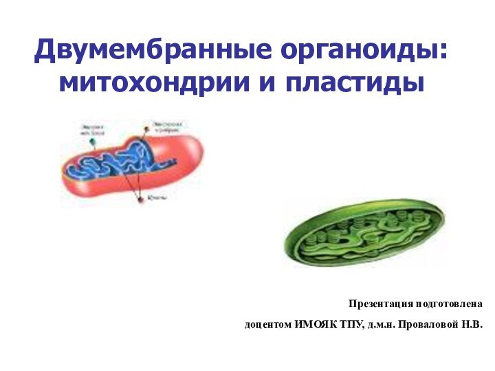 Двумембранные органоиды: митохондрии и пластидыПрезентация подготовленадоцентом ИМОЯК ТПУ, д.м.н. Проваловой Н.В.