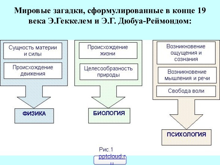 Мировые загадки, сформулированные в конце 19 века Э.Геккелем и Э.Г. Дюбуа-Реймондом: