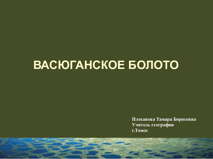 Васюганское болото  Плеханова Тамара Борисовна Учитель географииг.Томск