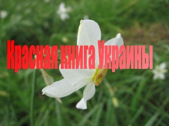 Красная книга Украины