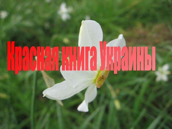 Красная книга Украины
