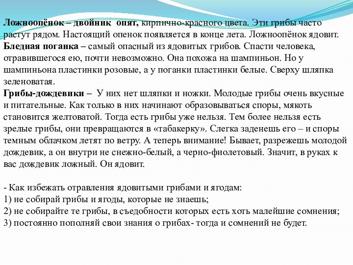 Ложноопёнок – двойник опят, кирпично-красного цвета. Эти грибы часто растут рядом. Настоящий