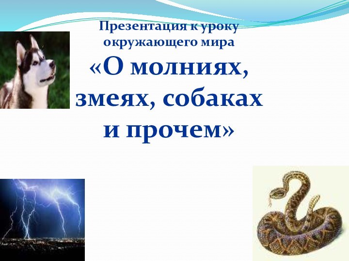 Презентация к уроку окружающего мира «О молниях, змеях, собаках и прочем»