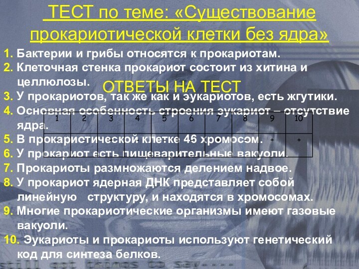 ТЕСТ по теме: «Существование прокариотической клетки без ядра» 1. Бактерии и