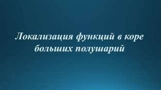 Локализация функций в коре больших полушарий