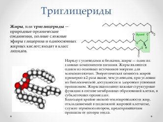 Триглицериды