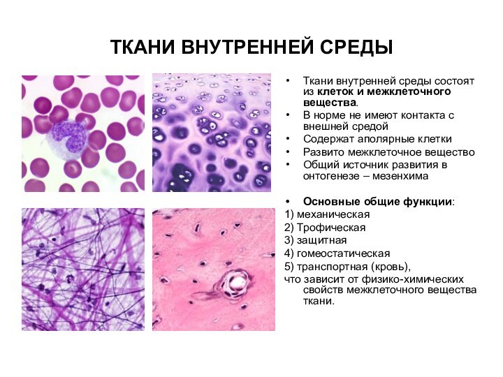 ТКАНИ ВНУТРЕННЕЙ СРЕДЫТкани внутренней среды состоят из клеток и межклеточного вещества.В норме