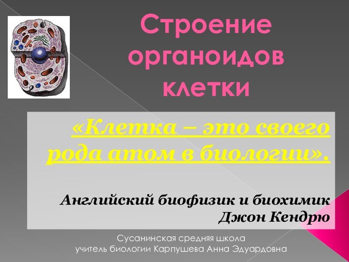 Строение органоидов клетки «Клетка – это своего рода атом в биологии».