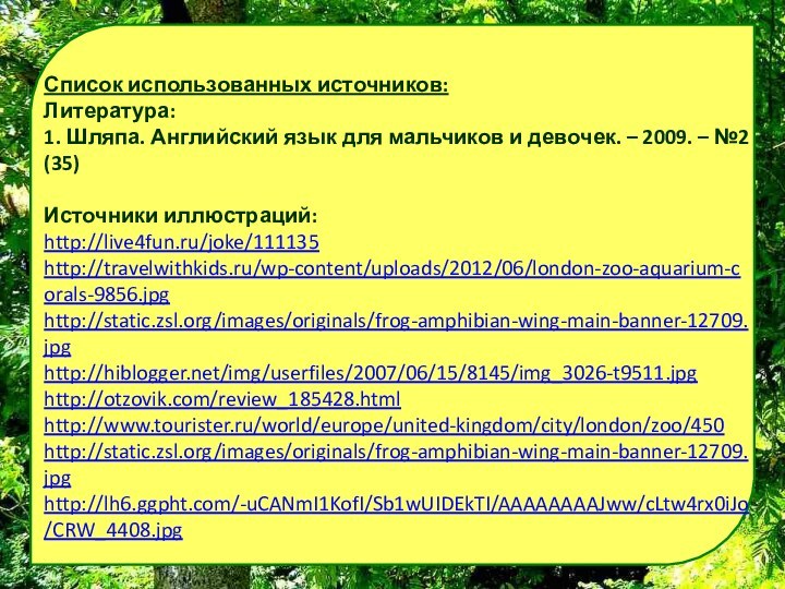 Список использованных источников:Литература:1. Шляпа. Английский язык для мальчиков и девочек. – 2009.