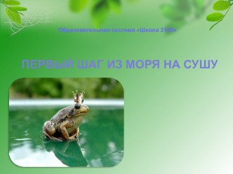 Первый шаг из моря на сушу