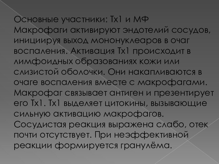 Основные участники: Тх1 и МФ Макрофаги активируют эндотелий сосудов, инициируя выход мононуклеаров