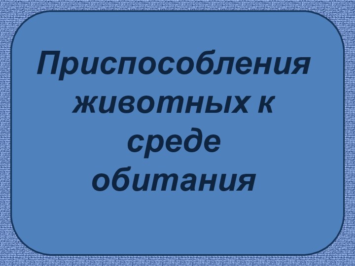 Приспособления  животных к среде обитания