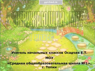 Строение птиц