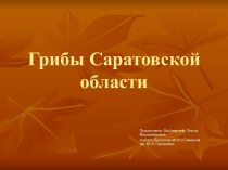 Грибы Саратовской области