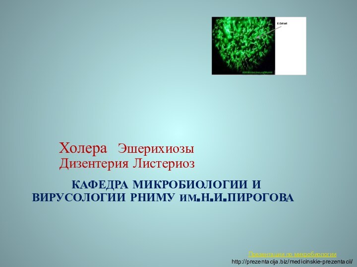 кафедра микробиологии и вирусологии РНИМУ им.Н.И.Пирогова