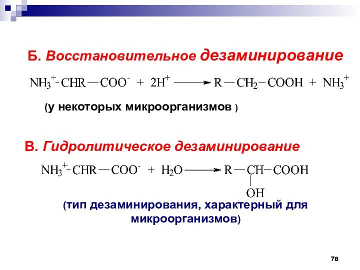 При гидролитическом дезаминировании альфа аминокислот образуется. Восстановительное дезаминирование. Гидролитическое дезаминирование. Гидролитическое дезаминирование аминокислот. Типы дезаминирования.