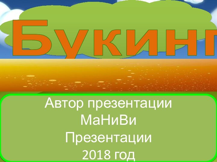 БукингАвтор презентацииМаНиВиПрезентации2018 год