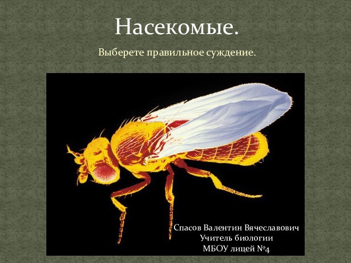 Выберете правильное суждение.Насекомые.Спасов Валентин ВячеславовичУчитель биологииМБОУ лицей №4