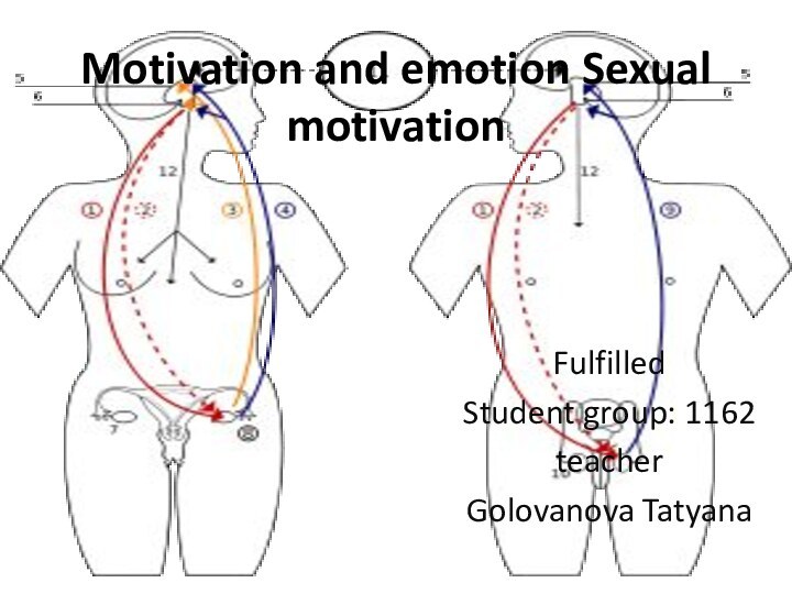 Fulfilled Student group: 1162teacher Golovanova Tatyana Motivation and emotion Sexual motivation