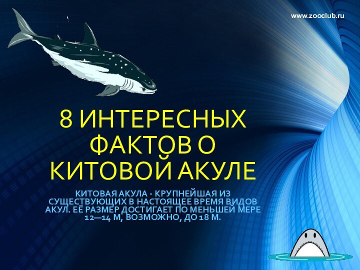 8 ИНТЕРЕСНЫХ ФАКТОВ О КИТОВОЙ АКУЛЕКитовая акула - крупнейшая из существующих в