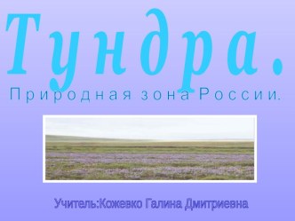 Тундра. Природная зона России