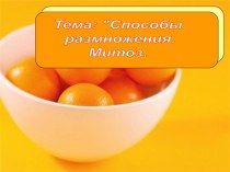 Способы размножения. Митоз