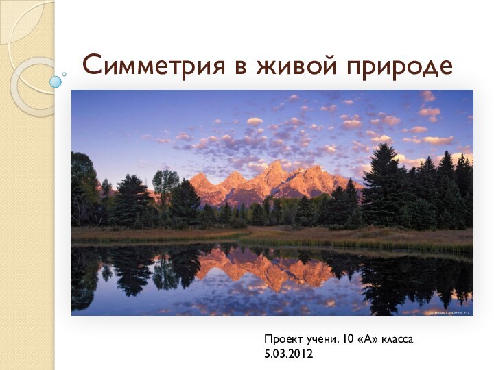 Симметрия в живой природеПроект учени. 10 «А» класса5.03.2012