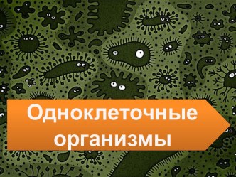 Одноклеточные организмы