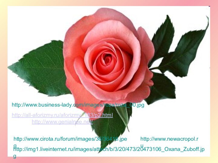 http://www.cirota.ru/forum/images/36/36416.jpeghttp://img1.liveinternet.ru/images/attach/b/3/20/473/20473106_Oxana_Zuboff.jpghttp://www.business-lady.com/images/roza/roza_00.jpghttp://www.newacropol.ruhttp://all-aforizmy.ru/aforizmy_183/p2.htmlhttp://www.genialnee.net/