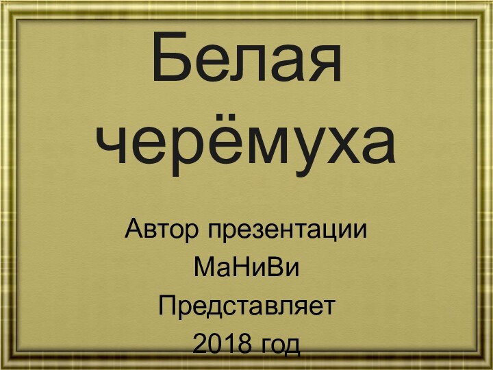 Белая  черёмухаАвтор презентации МаНиВиПредставляет 2018 год