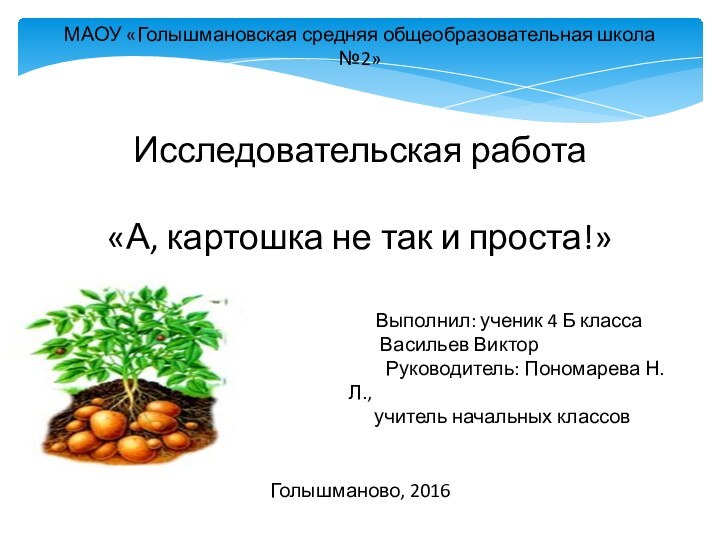 МАОУ «Голышмановская средняя общеобразовательная школа №2»Исследовательская работа«А, картошка не так и проста!»