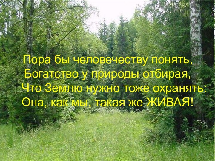 Пора бы человечеству понять,Богатство у природы отбирая,  Что Землю нужно тоже