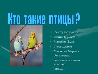 Кто такие птицы?