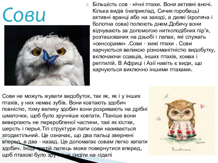 Більшість сов - нічні птахи. Вони активні вночі. Кілька видів (наприклад, Сичик-горобець)