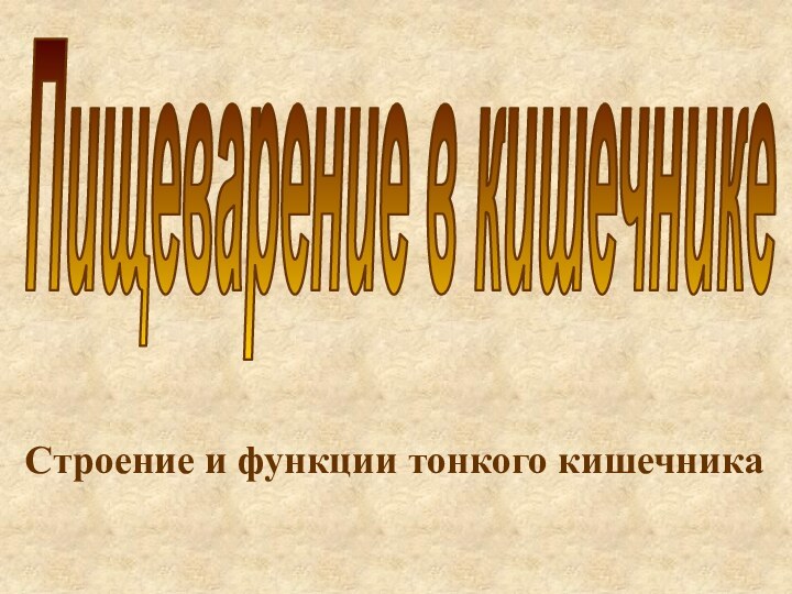 Строение и функции тонкого кишечникаПищеварение в кишечнике