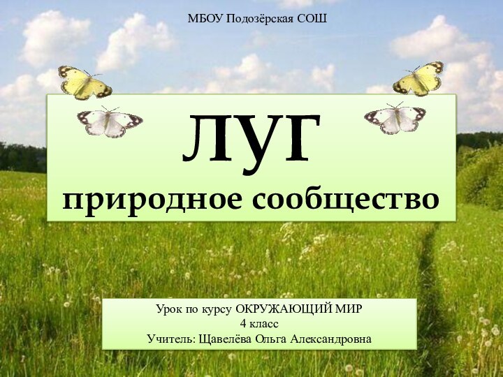 МБОУ Подозёрская СОШУрок по курсу ОКРУЖАЮЩИЙ МИР4 классУчитель: Щавелёва Ольга АлександровнаЛУГприродное сообщество