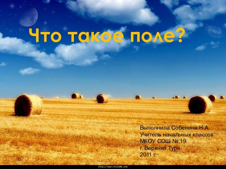 Что такое поле?Выполнила Собенина Н.А.Учитель начальных классовМКОУ СОШ № 19г. Верхняя Тура2011 г.