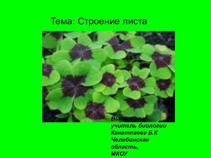 Тема: Строение листаВыполнила: учитель биологииКанатпаева Б.КЧелябинская область, МКОУ ПавловскаяСОШ