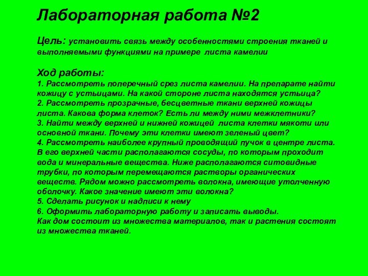 Лабораторная работа №2  Цель: установить связь между особенностями строения тканей