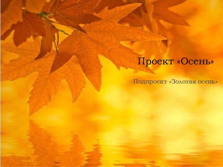 Проект «Осень»Подпроект «Золотая осень»