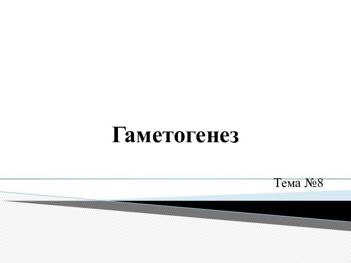 ГаметогенезТема №8