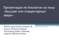 Презентация по биологии на тему Высшие или плацентарные звери