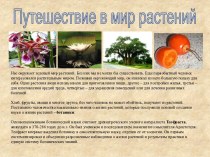 Путешествие в мир растений