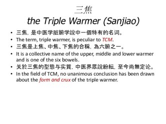 三焦the triple warmer (sanjiao)