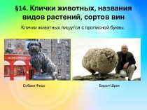 §14. Клички животных, названия видов растений, сортов вин