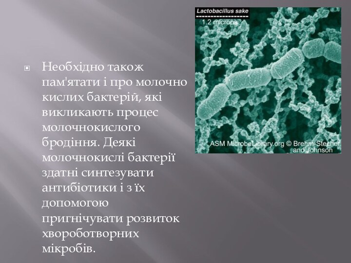 Необхідно також пам'ятати і про молочно кислих бактерій, які викликають процес молочнокислого