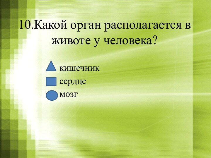 10.Какой орган располагается в животе у человека?