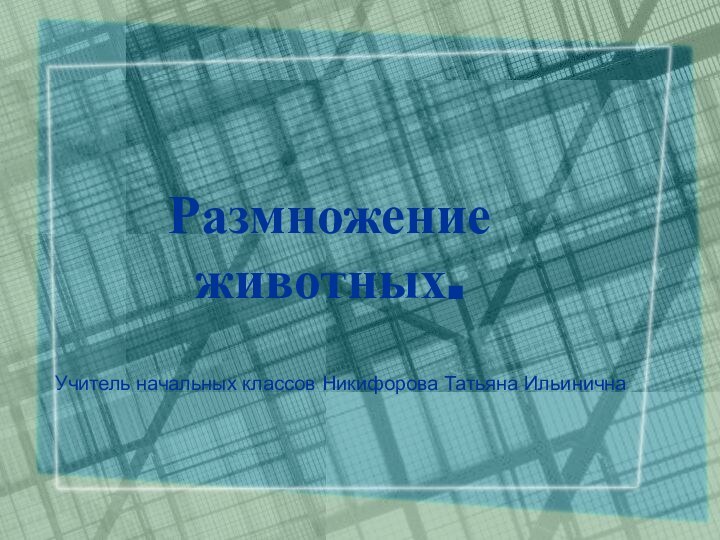 Размножение животных.Учитель начальных классов Никифорова Татьяна Ильинична