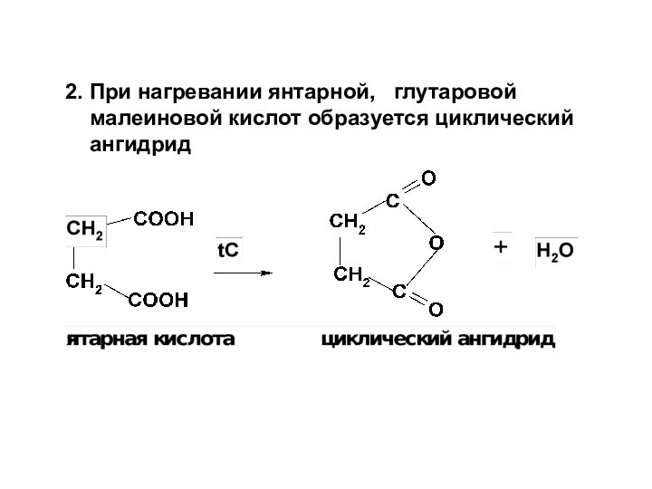 2. При нагревании янтарной,  глутаровой малеиновой кислот образуется циклический ангидрид